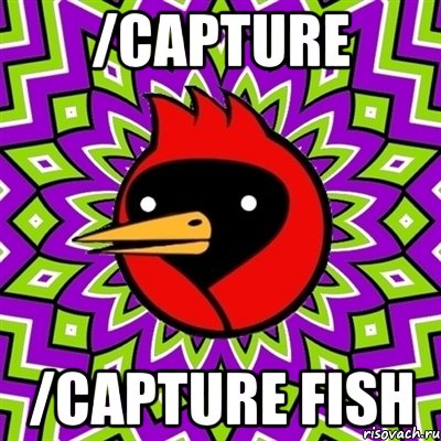 /capture /capture fish, Мем Омская птица