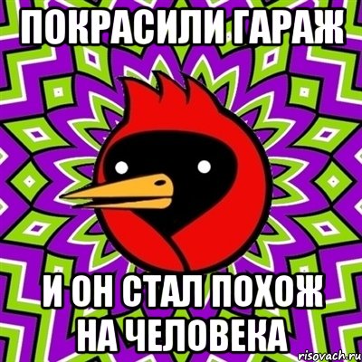 покрасили гараж и он стал похож на человека, Мем Омская птица