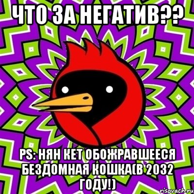 что за негатив?? ps: нян кет обожравшееся бездомная кошка(в 2032 году!), Мем Омская птица