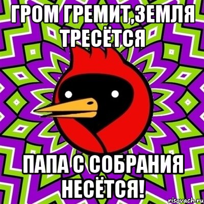 гром гремит,земля тресётся папа с собрания несётся!, Мем Омская птица