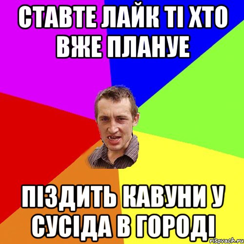 ставте лайк ті хто вже плануе піздить кавуни у сусіда в городі