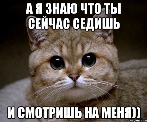 Я не знаю что посетить. Я знаю. А Я знаю что ты. А Я знаю что ты дрожишь. Я знаю что ты сейчас делаешь.