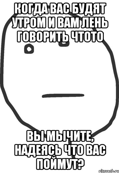 когда вас будят утром и вам лень говорить чтото вы мычите, надеясь что вас поймут?, Мем покер фейс