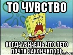 то чувство когда узнаешь что лето почти закончилось, Мем Спанч Боб плачет