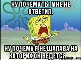 ну почему ты мне не ответил. ну почему я не шалава на которих он ведется....., Мем Спанч Боб плачет