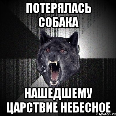 Пропасть собака. Пропала собака нашедшему Царствие небесное. Найдена собака нашедшему Царствие небесное. Пропал бультерьер, нашедшему Царствие небесное. Потерялась собака нашедшему царство небесное.