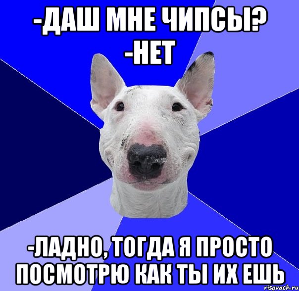 -даш мне чипсы? -нет -ладно, тогда я просто посмотрю как ты их ешь, Мем типичный буль