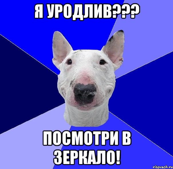 я уродлив??? посмотри в зеркало!