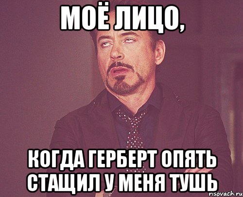 моё лицо, когда герберт опять стащил у меня тушь, Мем твое выражение лица