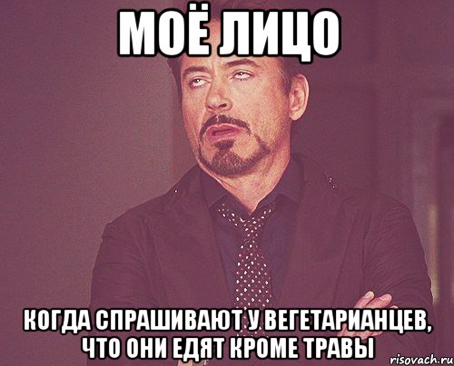 моё лицо когда спрашивают у вегетарианцев, что они едят кроме травы, Мем твое выражение лица