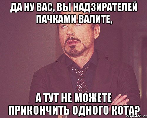 да ну вас, вы надзирателей пачками валите, а тут не можете прикончить одного кота?, Мем твое выражение лица