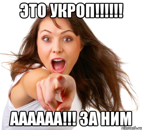 это укроп!!! аааааа!!! за ним