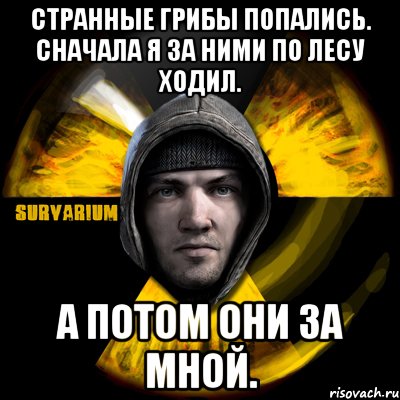 странные грибы попались. сначала я за ними по лесу ходил. а потом они за мной.