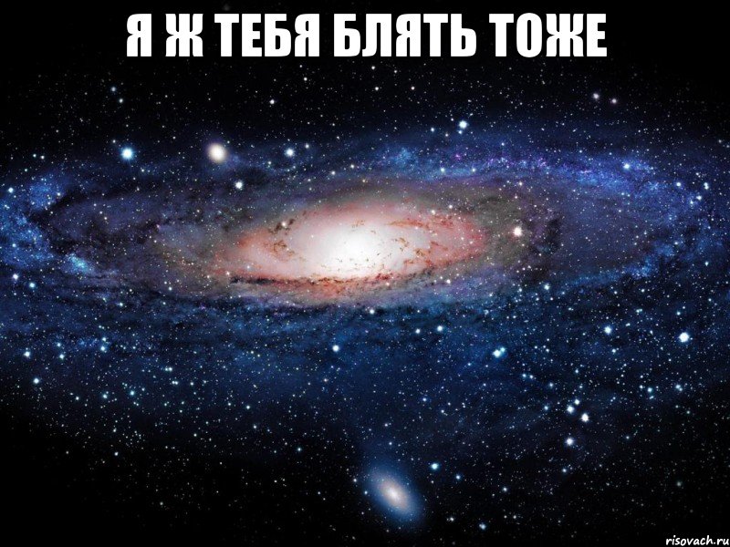 я ж тебя блять тоже , Мем Вселенная