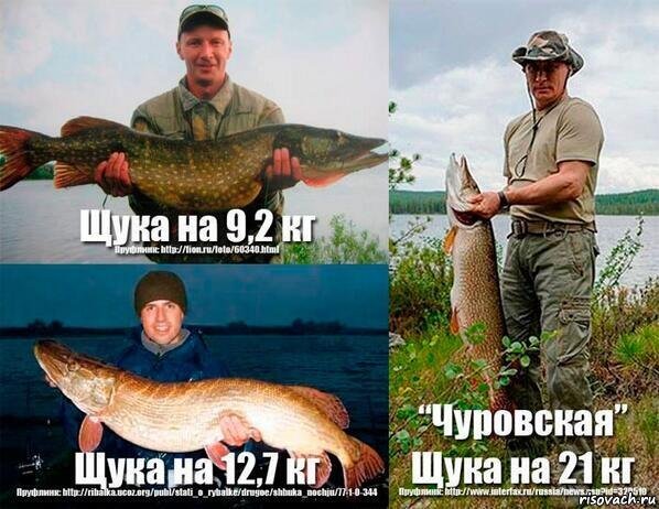 Путин и ловля щуки, картинки путин