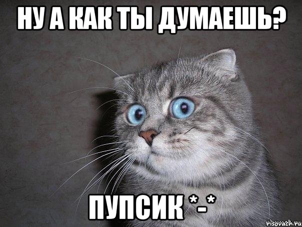 ну а как ты думаешь? пупсик *-*, Мем  удивлённый кот