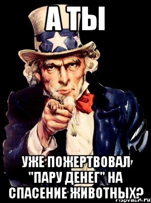 а ты уже пожертвовал "пару денег" на спасение животных?, Мем а ты