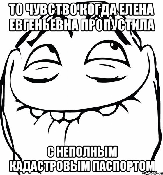 то чувство когда елена евгеньевна пропустила с неполным кадастровым паспортом, Мем  аааа