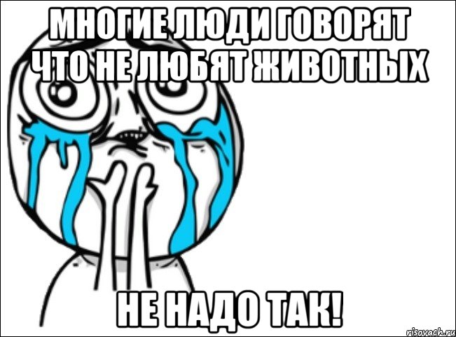 многие люди говорят что не любят животных не надо так!, Мем Это самый