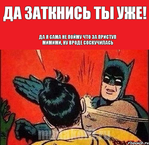 Да заткнись ты уже! да я сама не пойму что за приступ мимими, ну вроде соскучилась, Комикс   Бетмен и Робин