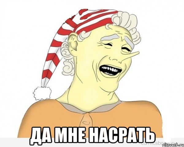  да мне насрать, Мем буратино