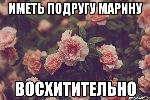 Имеет подругу. Цветы Мем. Мем хочу цветы. Иметь подругу.