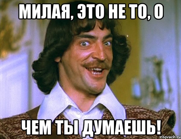 милая, это не то, о чем ты думаешь!, Мем Боярский (ДАртаньян)