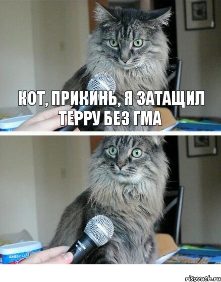 Кот, прикинь, я затащил терру без ГМа, Комикс  кот с микрофоном