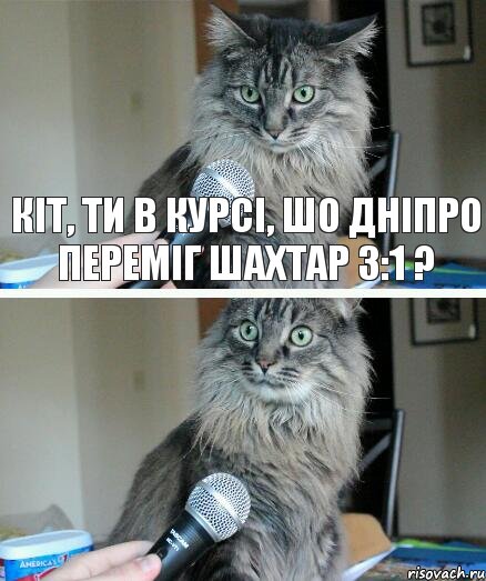 Кіт, ти в курсі, шо Дніпро переміг Шахтар 3:1 ?, Комикс  кот с микрофоном