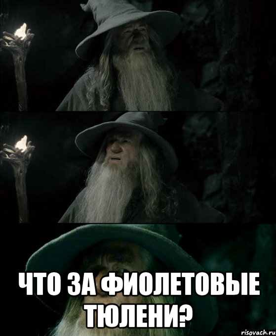  что за фиолетовые тюлени?, Комикс Гендальф заблудился