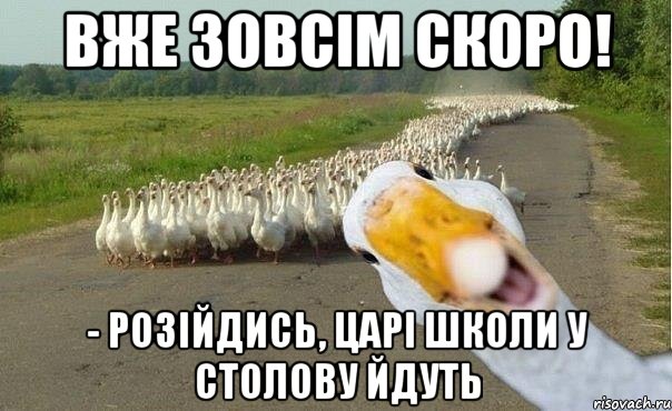 вже зовсім скоро! - розійдись, царі школи у столову йдуть, Мем гуси