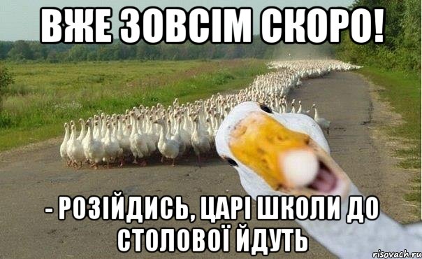 вже зовсім скоро! - розійдись, царі школи до столової йдуть, Мем гуси