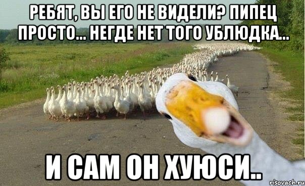 ребят, вы его не видели? пипец просто... негде нет того ублюдка... и сам он хуюси.., Мем гуси