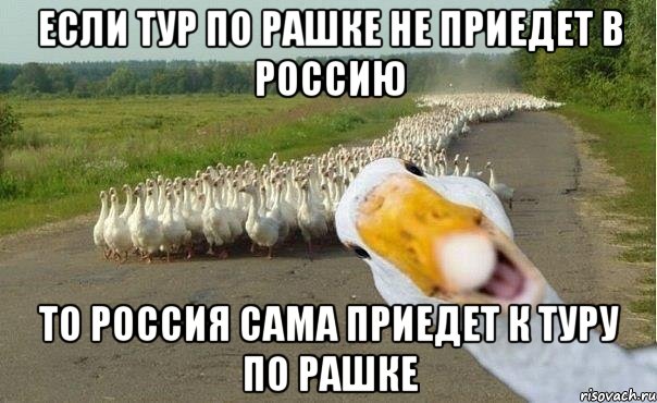 если тур по рашке не приедет в россию то россия сама приедет к туру по рашке, Мем гуси