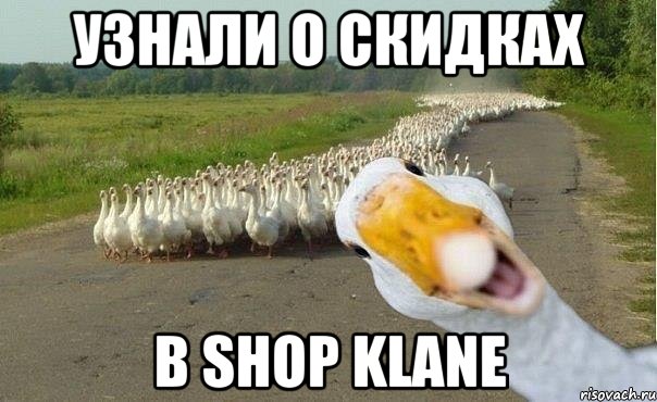 узнали о скидках в shop klane, Мем гуси