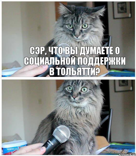 Сэр, что вы думаете о социальной поддержки в Тольятти?, Комикс  кот с микрофоном