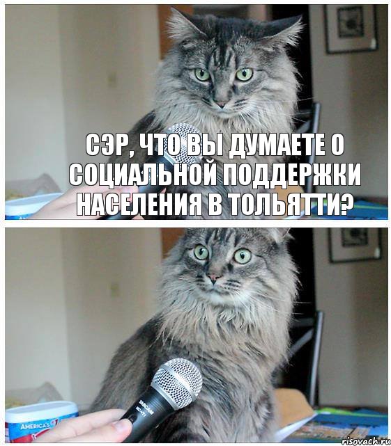Сэр, что вы думаете о социальной поддержки населения в тольятти?, Комикс  кот с микрофоном