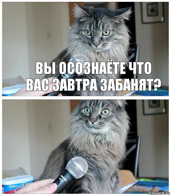 ВЫ ОСОЗНАЁТЕ ЧТО ВАС ЗАВТРА ЗАБАНЯТ?, Комикс  кот с микрофоном