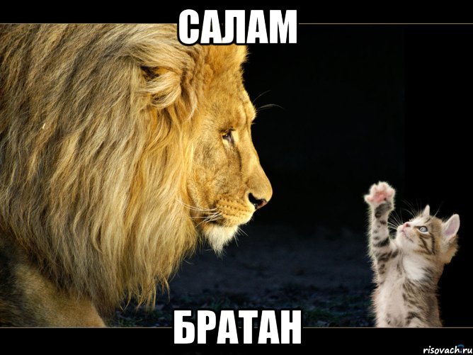 салам братан