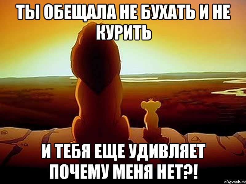 ты обещала не бухать и не курить и тебя еще удивляет почему меня нет?!, Мем  король лев