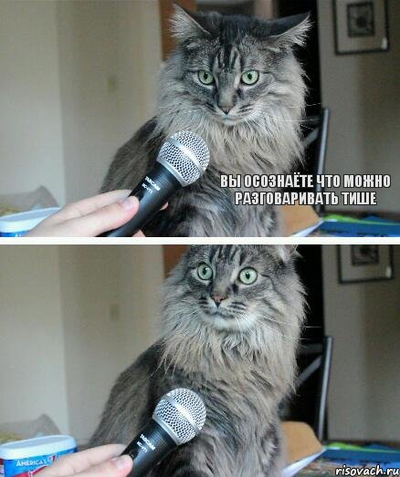 вы осознаёте что можно разговаривать тише , Комикс  кот с микрофоном
