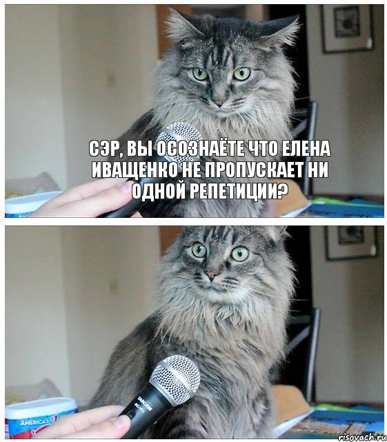 сэр, вы осознаёте что Елена Иващенко не пропускает ни одной репетиции?, Комикс  кот с микрофоном