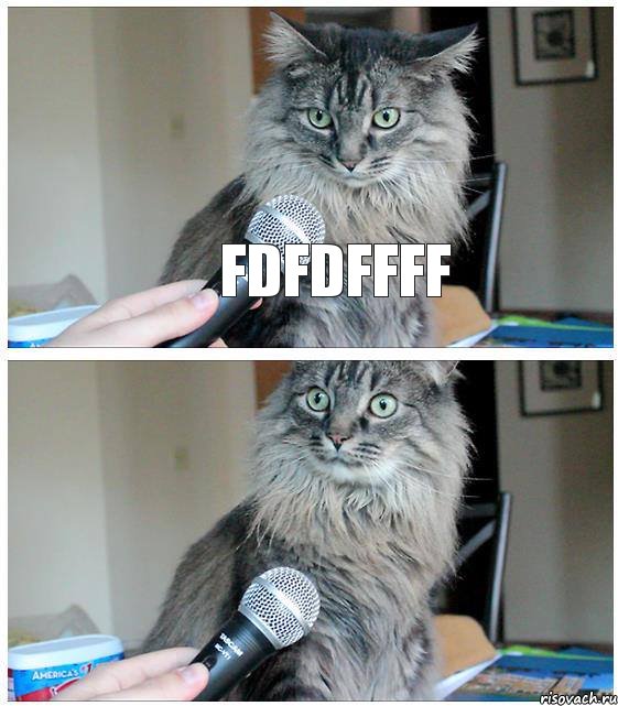 fdfdffff, Комикс  кот с микрофоном