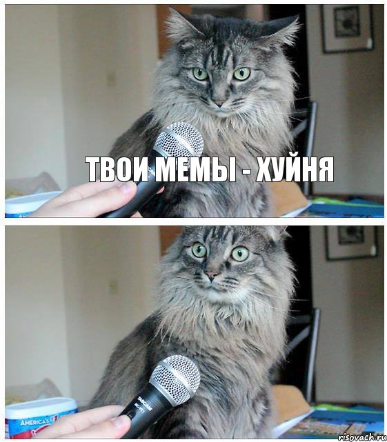 твои мемы - хуйня, Комикс  кот с микрофоном