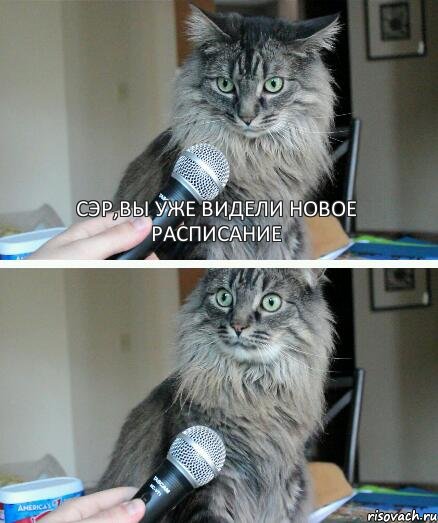 сэр,вы уже видели новое расписание, Комикс  кот с микрофоном