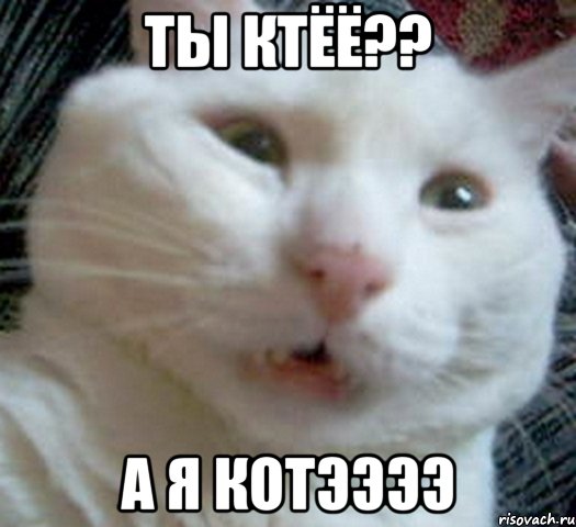 ты ктёё?? а я котээээ