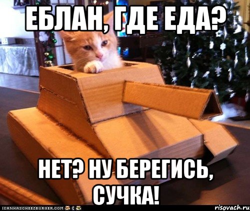 еблан, где еда? нет? ну берегись, сучка!