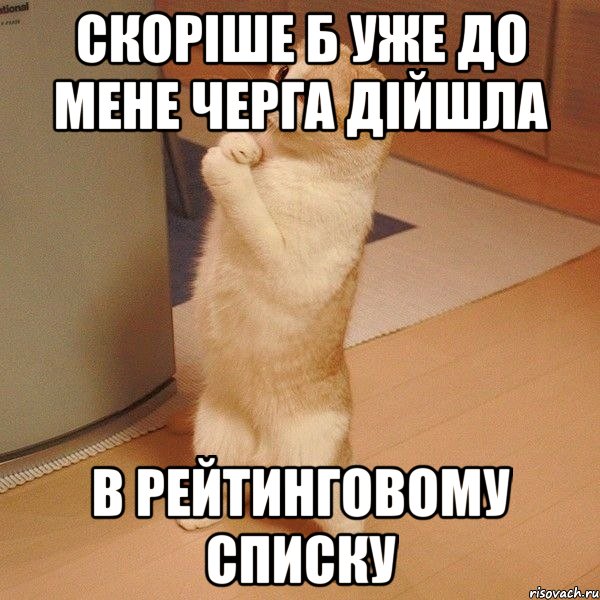 скоріше б уже до мене черга дійшла в рейтинговому списку, Мем  котэ молится