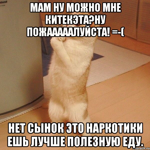 Ну можно