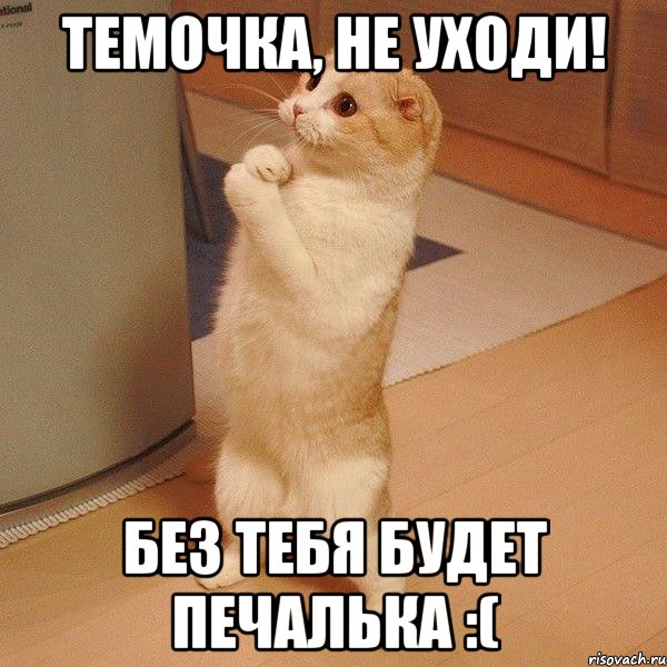 темочка, не уходи! без тебя будет печалька :(, Мем  котэ молится